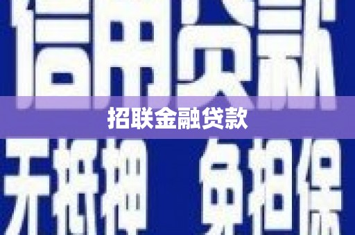 隆阳招联金融贷款