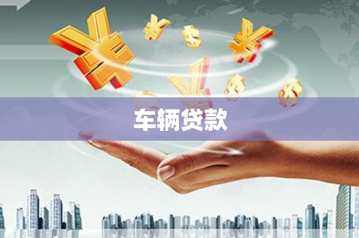 隆阳车辆贷款