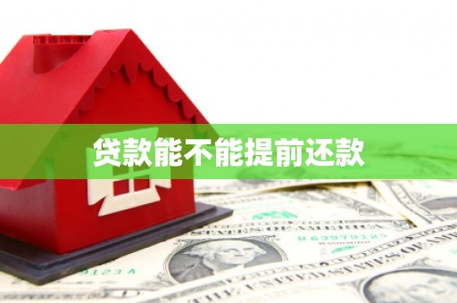 隆阳贷款能不能提前还款