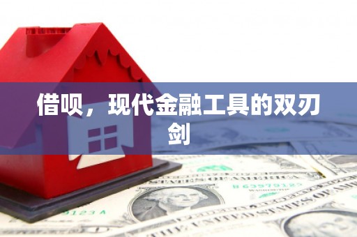 隆阳借呗，现代金融工具的双刃剑