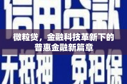 隆阳微粒贷，金融科技革新下的普惠金融新篇章