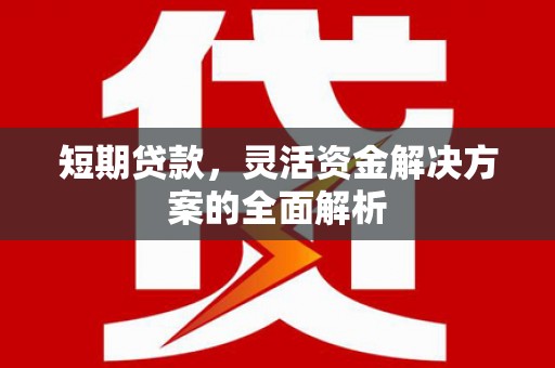 隆阳短期贷款，灵活资金解决方案的全面解析