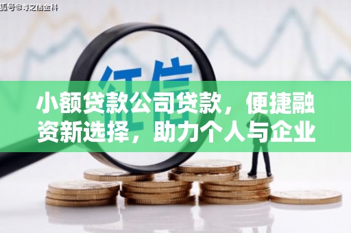 隆阳小额贷款公司贷款，便捷融资新选择，助力个人与企业成长