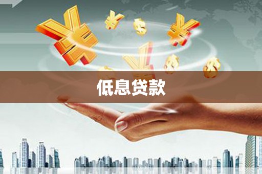 隆阳低息贷款