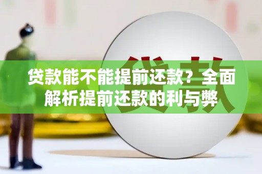 隆阳贷款能不能提前还款？全面解析提前还款的利与弊