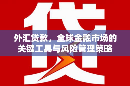 隆阳外汇贷款，全球金融市场的关键工具与风险管理策略