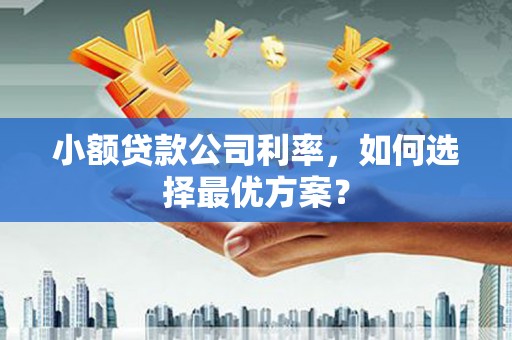 隆阳小额贷款公司利率，如何选择最优方案？