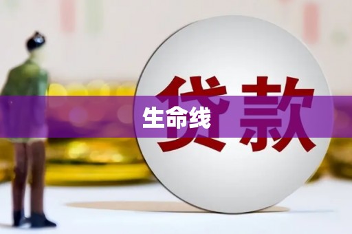 隆阳生命线