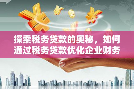 隆阳探索税务贷款的奥秘，如何通过税务贷款优化企业财务