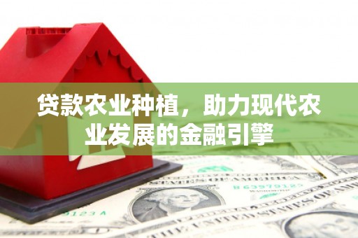 隆阳贷款农业种植，助力现代农业发展的金融引擎