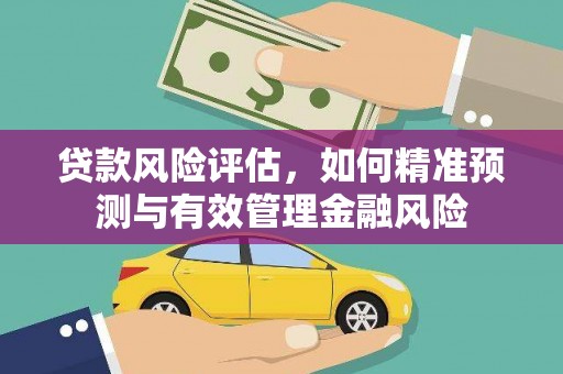 隆阳贷款风险评估，如何精准预测与有效管理金融风险