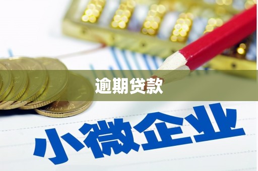 隆阳逾期贷款