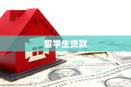 隆阳留学生贷款