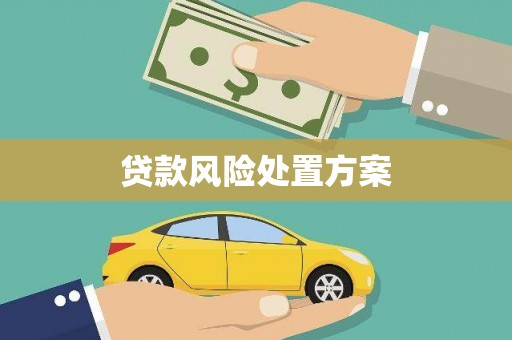 隆阳贷款风险处置方案