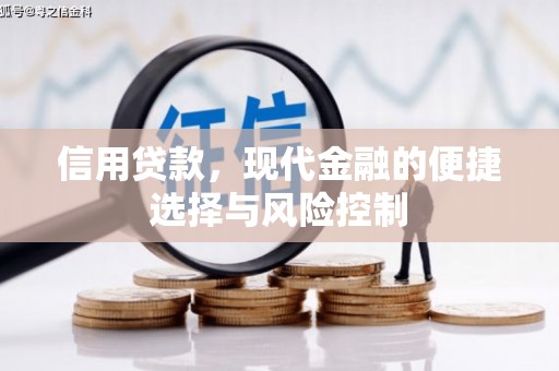 隆阳信用贷款，现代金融的便捷选择与风险控制