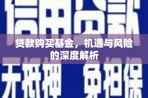隆阳贷款购买基金，机遇与风险的深度解析