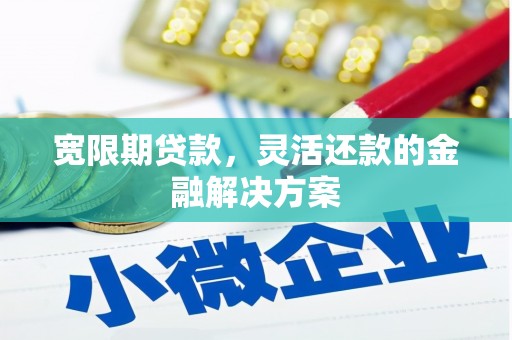 隆阳宽限期贷款，灵活还款的金融解决方案
