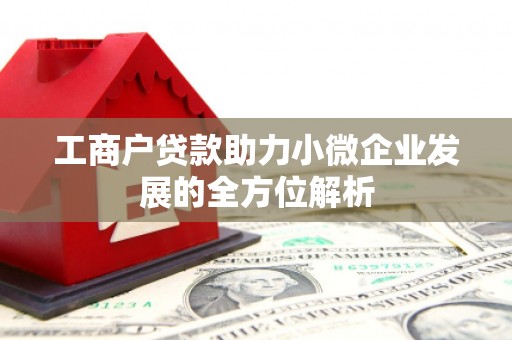 隆阳工商户贷款助力小微企业发展的全方位解析