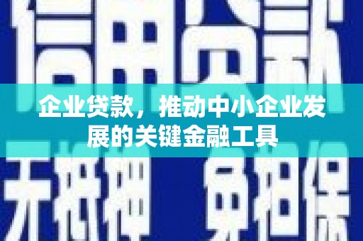 隆阳企业贷款，推动中小企业发展的关键金融工具