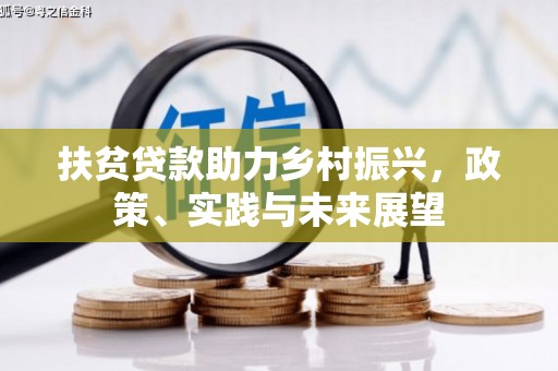 隆阳扶贫贷款助力乡村振兴，政策、实践与未来展望