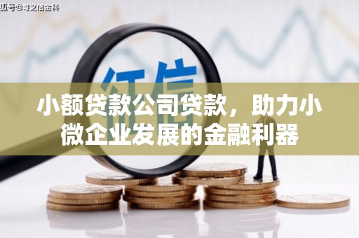 隆阳小额贷款公司贷款，助力小微企业发展的金融利器