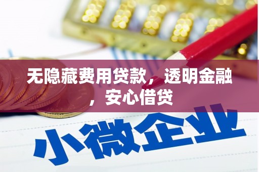 隆阳无隐藏费用贷款，透明金融，安心借贷