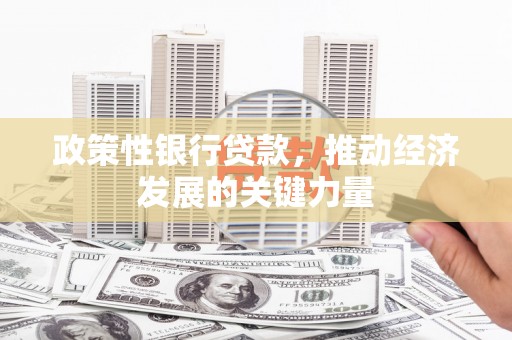 隆阳政策性银行贷款，推动经济发展的关键力量