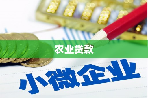 隆阳农业贷款