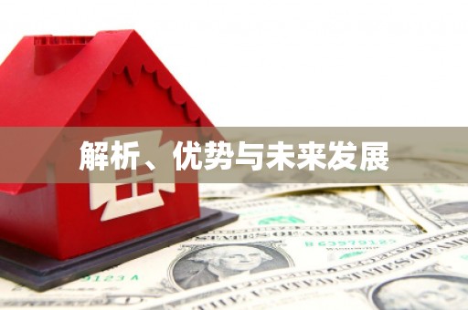 隆阳解析、优势与未来发展