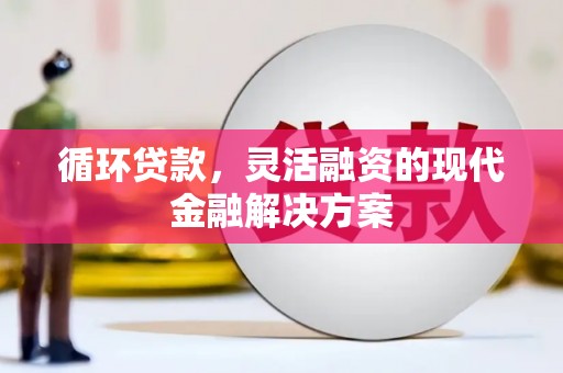 隆阳循环贷款，灵活融资的现代金融解决方案
