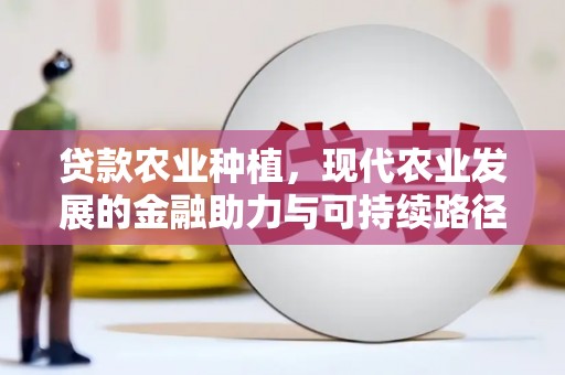 隆阳贷款农业种植，现代农业发展的金融助力与可持续路径