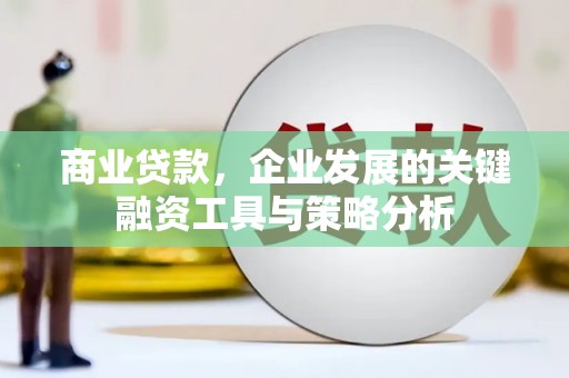 隆阳商业贷款，企业发展的关键融资工具与策略分析