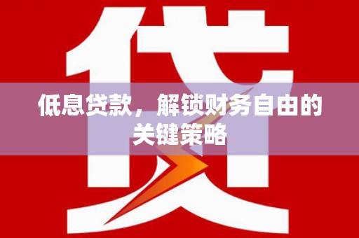 隆阳低息贷款，解锁财务自由的关键策略