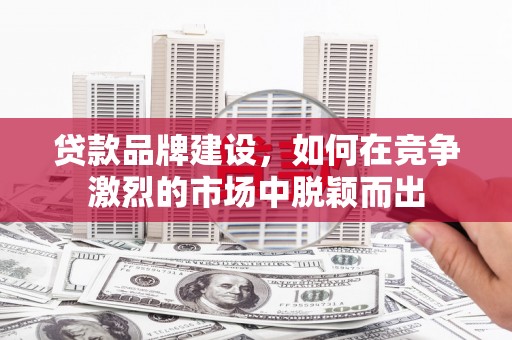 隆阳贷款品牌建设，如何在竞争激烈的市场中脱颖而出