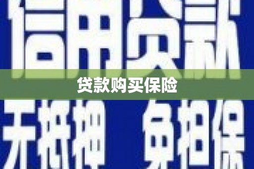 隆阳贷款购买保险