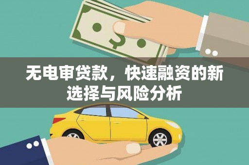 隆阳无电审贷款，快速融资的新选择与风险分析