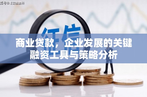 隆阳商业贷款，企业发展的关键融资工具与策略分析