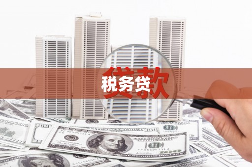 隆阳税务贷
