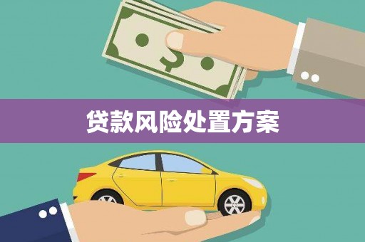 隆阳贷款风险处置方案