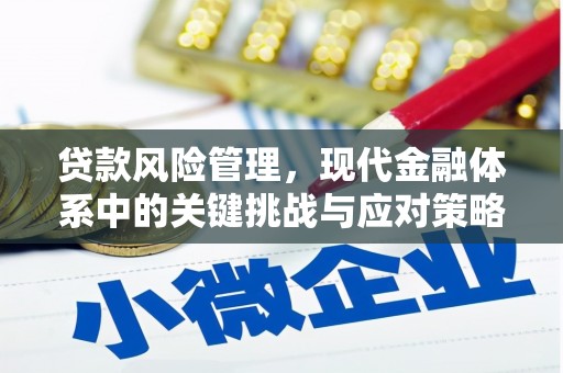 隆阳贷款风险管理，现代金融体系中的关键挑战与应对策略