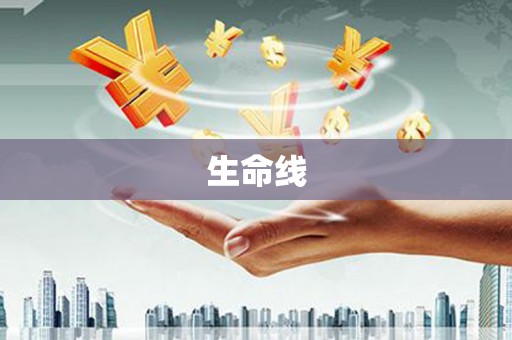 隆阳生命线