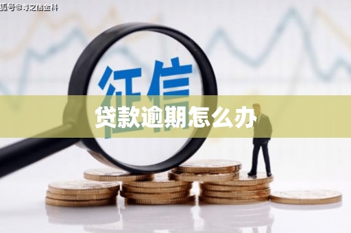 隆阳贷款逾期怎么办