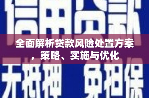 隆阳全面解析贷款风险处置方案，策略、实施与优化