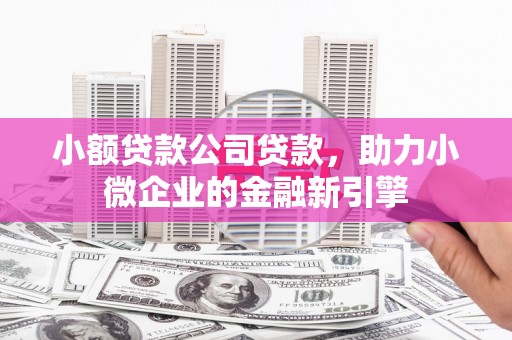隆阳小额贷款公司贷款，助力小微企业的金融新引擎