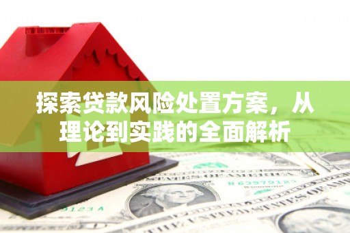 隆阳探索贷款风险处置方案，从理论到实践的全面解析
