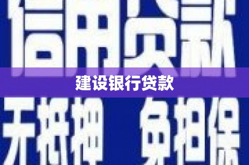 隆阳建设银行贷款