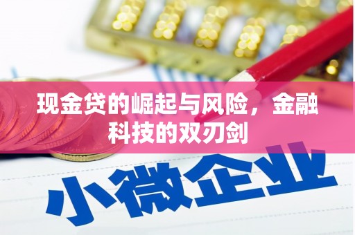 隆阳现金贷的崛起与风险，金融科技的双刃剑