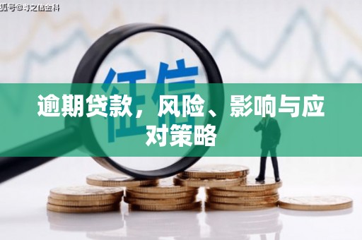 隆阳逾期贷款，风险、影响与应对策略