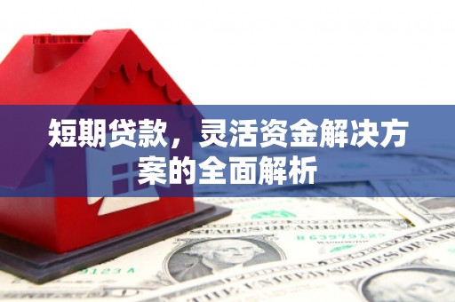隆阳短期贷款，灵活资金解决方案的全面解析