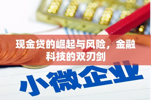 隆阳现金贷的崛起与风险，金融科技的双刃剑